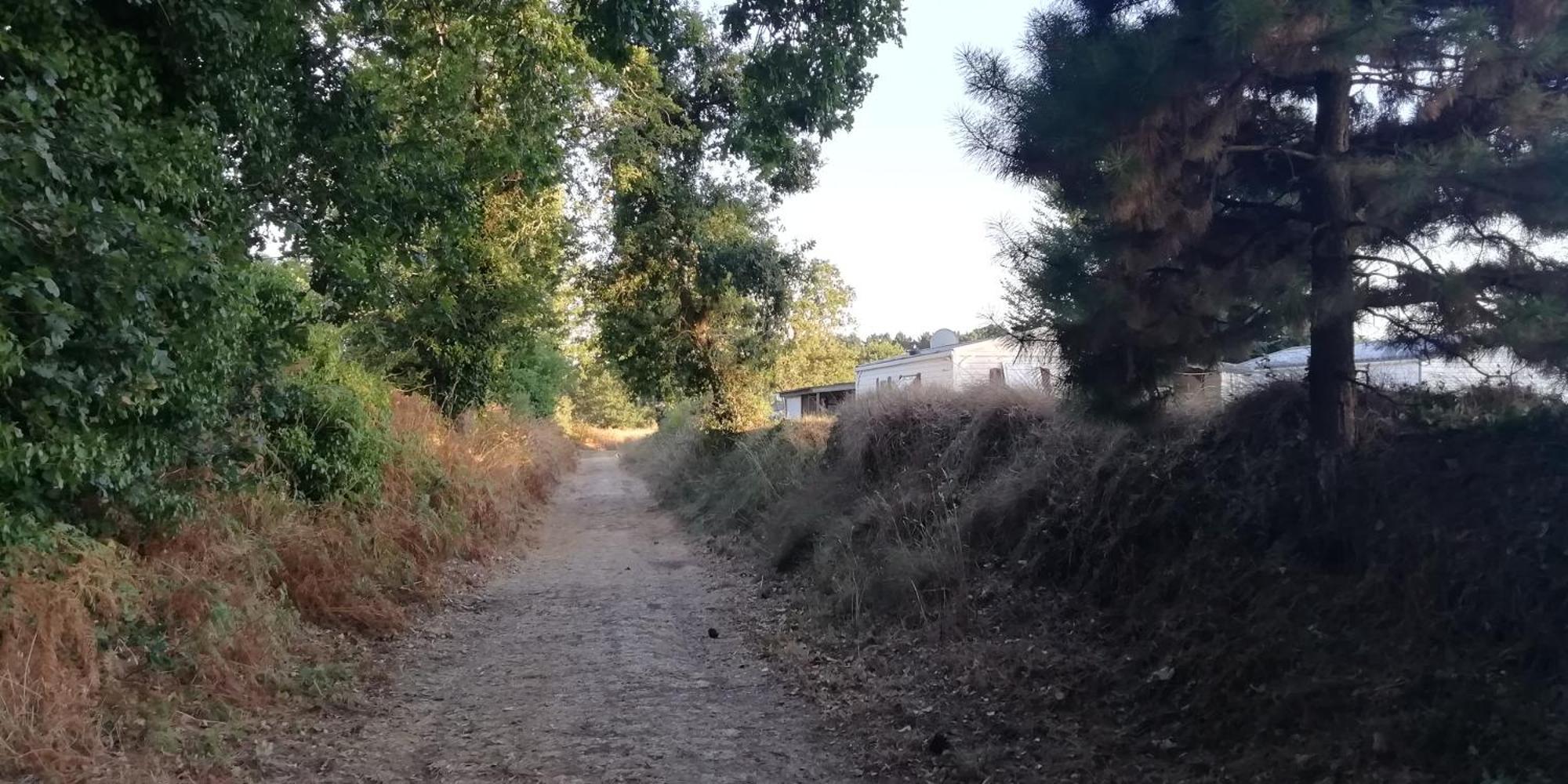 Camping Des Pierres Debout Névez Buitenkant foto